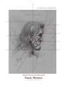 Idealized Proportion, Human Head 17